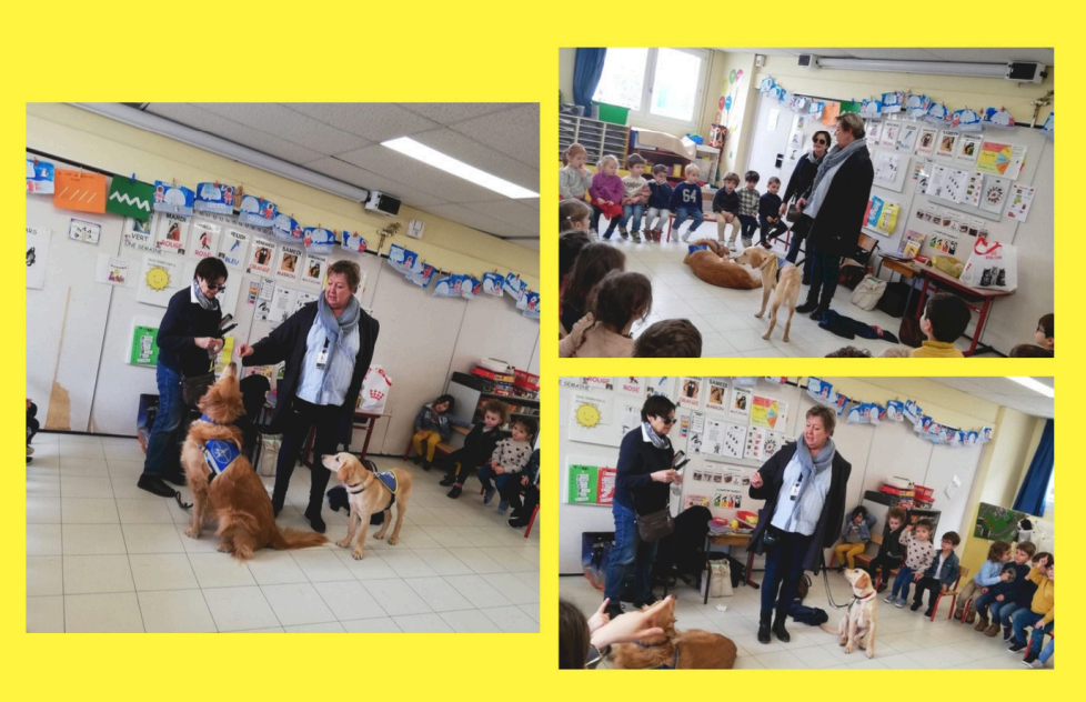 Visite de l'école des chiens guides pour les personnes aveugles et mal voyantes